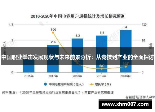 中国职业拳击发展现状与未来前景分析：从竞技到产业的全面探讨